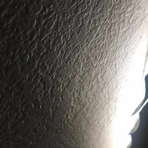 Meet your Posher, Rose